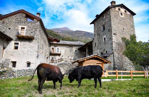 Chantignan Apartment | Povillus - Dimora Medievale