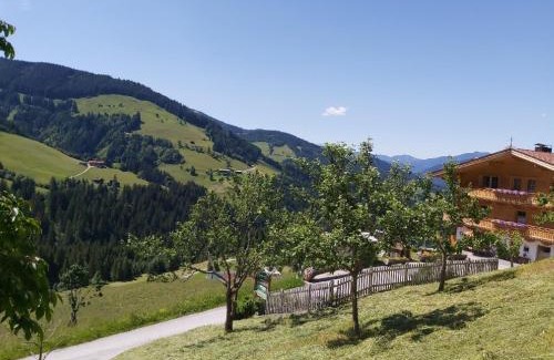 Wildschoenau Apartment | Prädastenhof