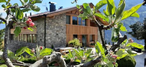 Parcines Apartment | Pröfinghof - Urlaub auf dem Biobauernhof