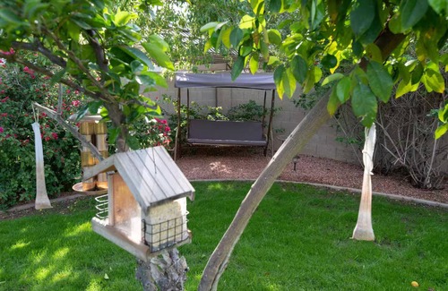 North Mountain Apartment | Practice Tiny House Living, with large gardens!