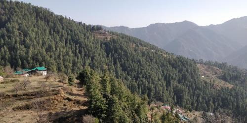 Shimla Apartment | Pranav Homes - An idyllic abode with a picturesque view