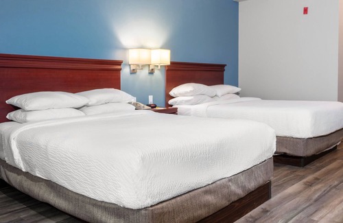 Central Hamilton Hotel | Premier Inn - Downtown Hamilton