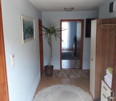Foca Bed & Breakfast | Prenoćište Vitas
