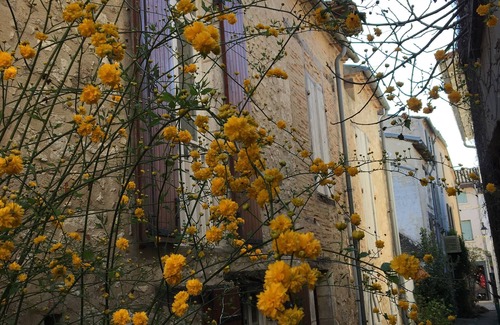 Eymet House | PRETTY HOUSE IN THE CITY CENTER OF EYMET