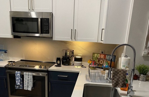 Deep Ellum Apartment | Pretty Plush Place