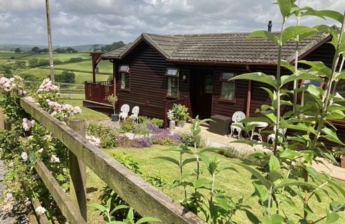 Modbury Cabin | Pretty timber cabin with glorious views of South Devon countryside