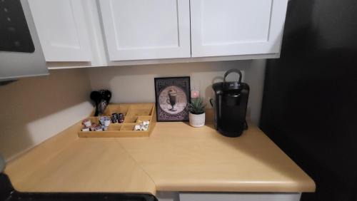 Downtown Detroit Apartment | Prime City Center Location! 2BR Near Everything!