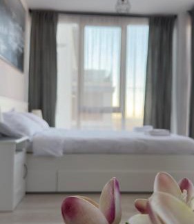 Timisoara Apartment | Prime Nest Residence