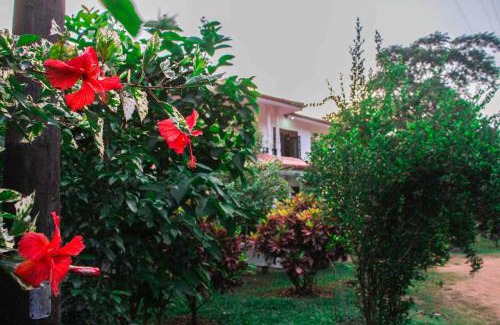 Sigiriya House | Prince Villa Sigiriya