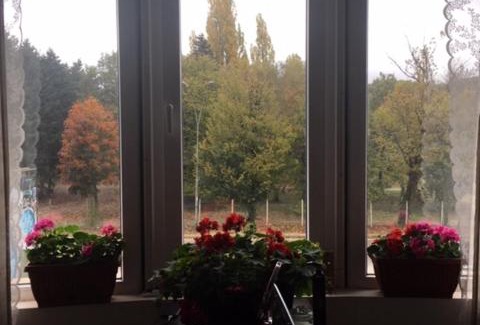 Trakata House | Princess room