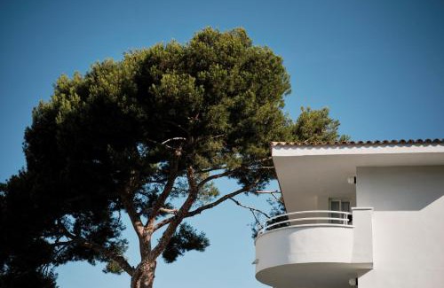 Cala Ratjada Apartment | Prinsotel La Pineda
