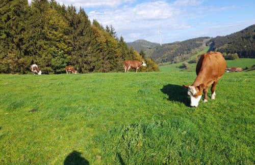 Muehlenbach Apartment | Prinzbachhof