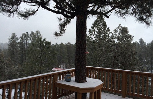 Ruidoso Cabin | Privacy & Location! One acre & 2min from town. Central AC. Covered patio.