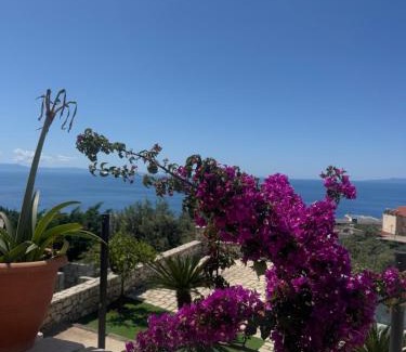 Dhermi Villa | Privat Pool Garden Villa