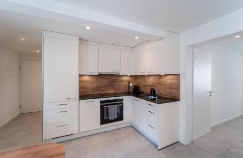 Winterthur Apartment | Privat-SPA mit Whirlpool und Sauna für 5 Personen!