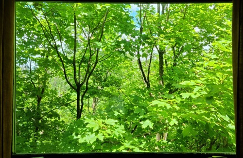 Castleton-on-Hudson House | Private and Serene Brick Hilltop Home, Large Yard Close to State Park and Albany