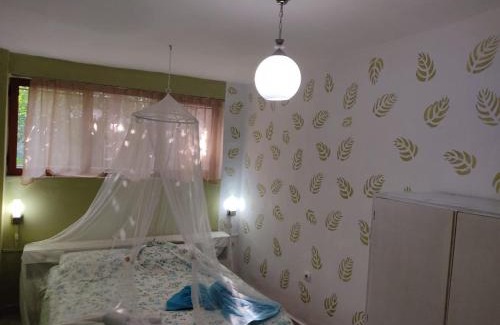 Elbasan Apartment | Private Apartment Elbasan Historic Center