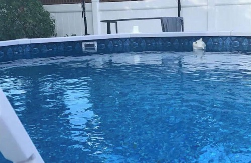 Queens House | private family home,20 min from JFK