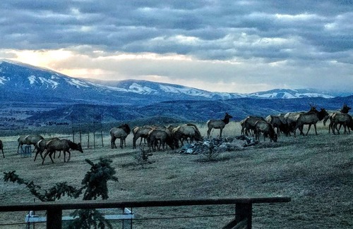 Salmon Apartment | Private Guest Suite, "Hilltops II"