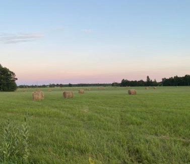 Rahtla House | Private Hiiumaa Cottage plus Sauna