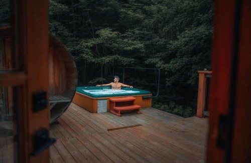 Fiddler Lake Resort Ski Chalet | Private Hot Tub Sauna Ski Indoor Pool Bee