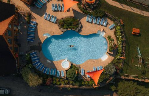 Fiddler Lake Resort Ski Chalet | Private Hot Tub Sauna Ski Indoor Pool Bee