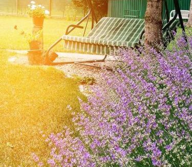 Scorteni House | Private House with Garden