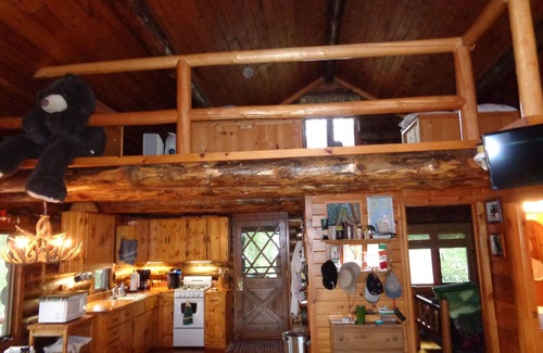 Ely Cabin | Private Island with a hand scribbed log cabin on beautiful Burntside Lake