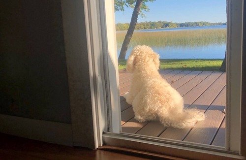 Alexandria House | Private lake home with Pontoon on Lake Ida in Alexandria, MN