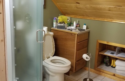 Rice Township House | Private lake year round home, 2 ac, 200 ft shoreline, 5 mil to Itasca State Park
