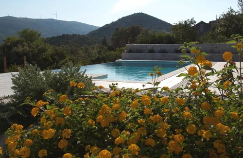 Zaton Doli Apartment | Private pool apartment in Ston