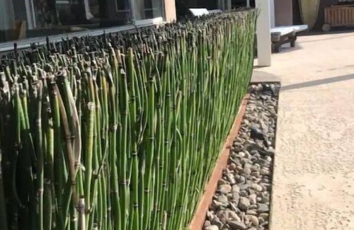 Rancho Bernardo House | Private pool, hot tub. On the golf course.