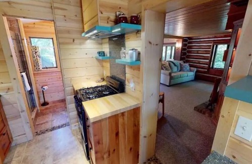 Indian River Cabin | Private River Frontage Cabin! 🌲🚣‍♂️ Paddle, Float, and Relax to Burt Lake!