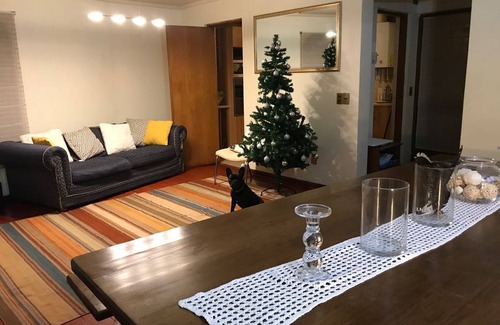 Temuco Resort | Private room ∙ 1 guest