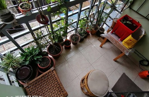 Dhaka Resort | Private room ∙ 2 guests