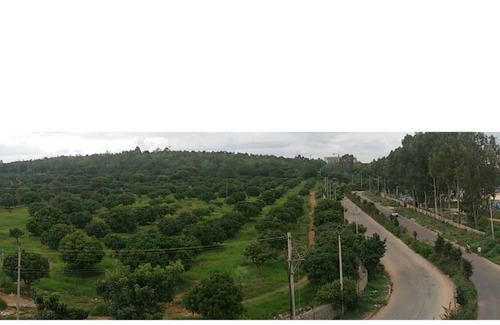 D Souza Layout Resort | Private room ∙ 2 guests