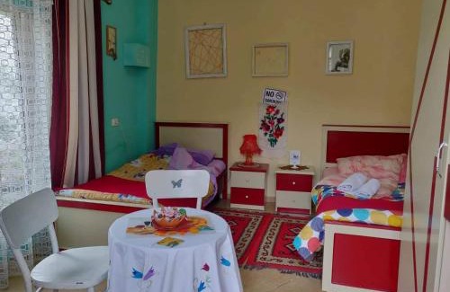 Elbasan House | Private room historic center Elbasan