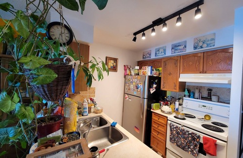 Willowdale Condo | Private Room in an Artsy Condo, North York Center