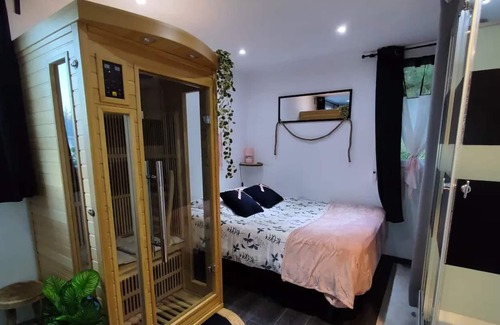 Gap Bed & Breakfast | Private shower room, WC and entrance. spa sauna and swimming pool