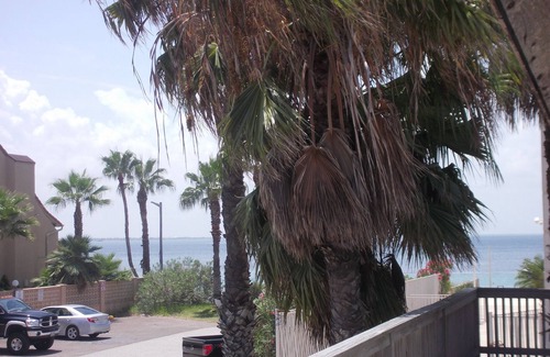South Padre Island House | PRIVATE SINGLE FAMILLY HOUSE with nice deck for Friday Night Fireworks!