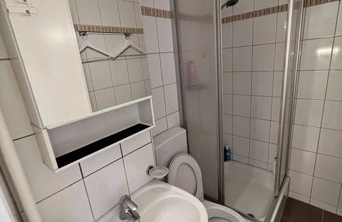 Downtown Geneva Apartment | Private Stylish Studio City Centre Paquis