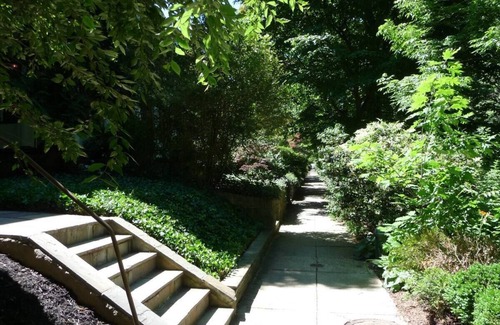 Mount Pleasant House | Private top floor at 2067 Park Road, Nw Dc. P.sCheck out 2nd listing too- bigger