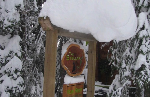 Silver Star Mountain Ski Chalet | Private Wonderland!