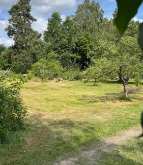 Luechow Other | Privater Womo-Stellplatz im Wendland