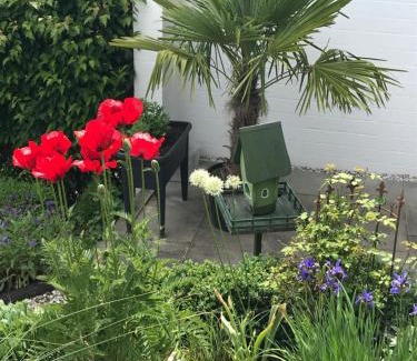 Kickenbach Apartment | Privatwohnung mit Terrasse zum Relaxen