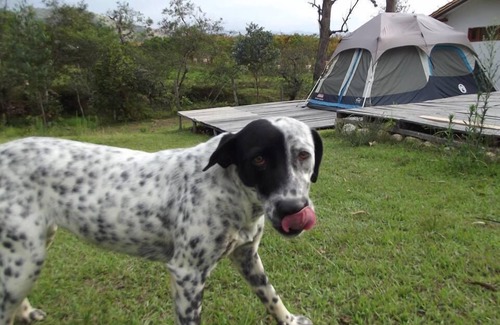 Villa de Leyva House | Procamp Glamping Villa de Leyva