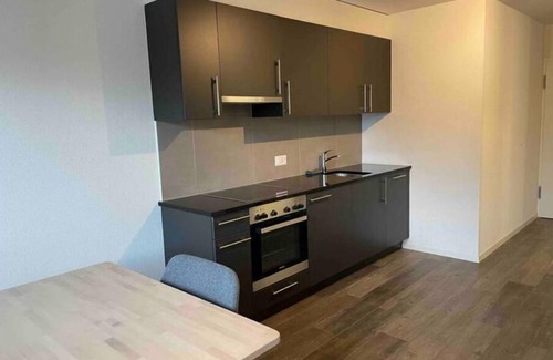 Prilly Apartment | Proche Lausanne: Studio Bien Équipé