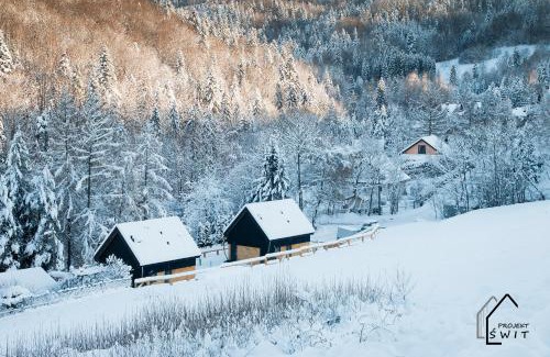 Swinna House | Projekt ŚWIT - domki z prywatną jacuzzi i sauną