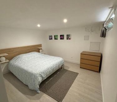 Saint-Maur Creteil Apartment | Proximité RER A , souplex tout confort, 2 chambres