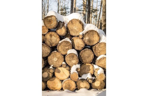 Thorne Ski Chalet | Prunella No. 1